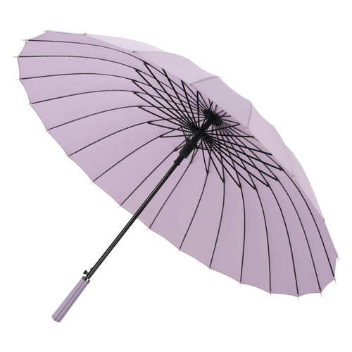 Umbrella new style color handle 24 rib automatic umbrella large long handle umbrella simple double anti-storm umbrella one piece drop shipping