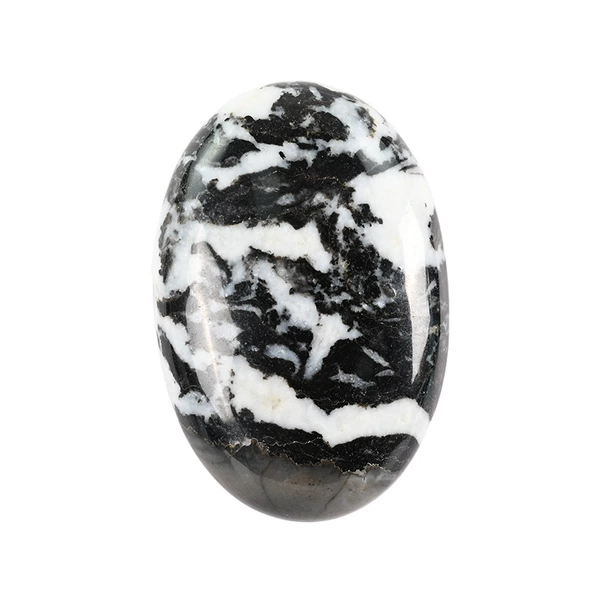 Black and white zebra