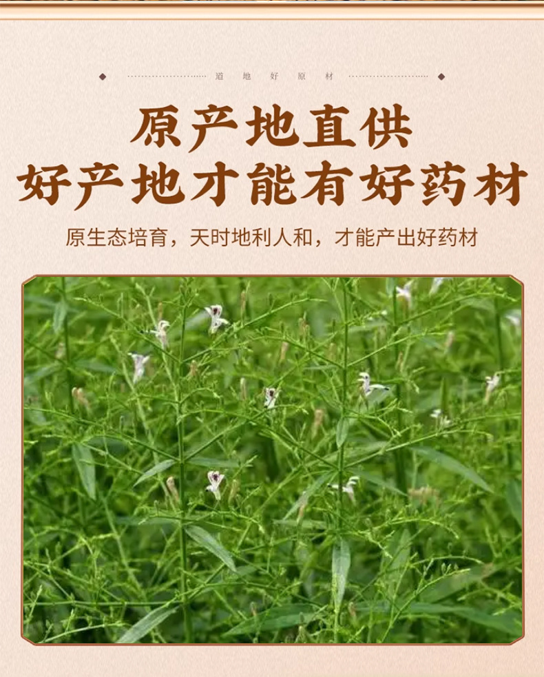Chuan Xin Lian Dried Andrographis Whole Stems 500g Traditional Chinese Herbal Tea Ingredient key features