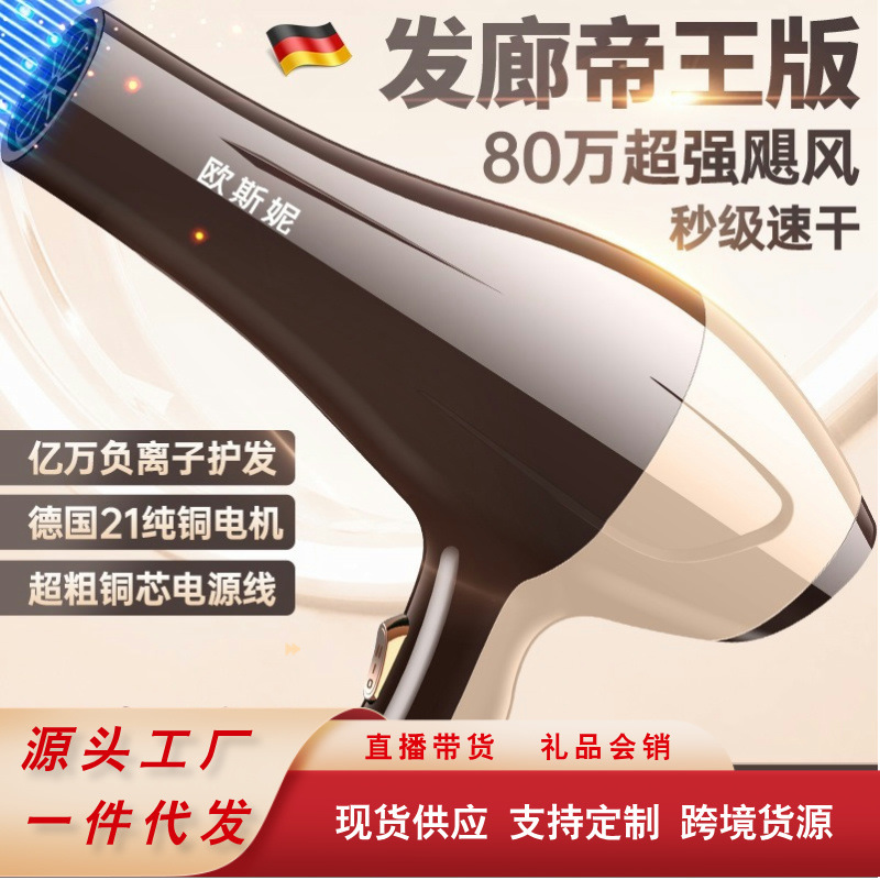 German Electric Hair Dryer Household High Wind Power Negative Ion Hair Salon Barber Shop Special High Speed Dry Hair Dryer