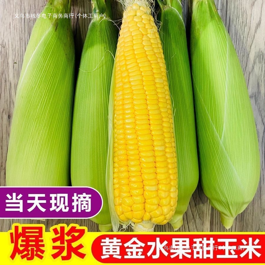 包邮闪电发货水果玉米斤新鲜现摘甜玉米棒生吃牛奶爆浆玉米斤其他