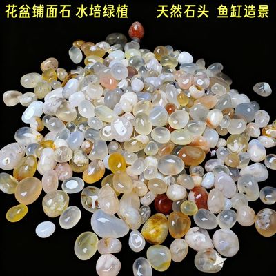 鱼缸石头樱花玛瑙雨花石郁金香水培花瓶多肉花盆铺面石天然石