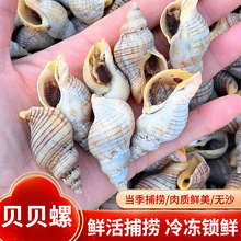 ���r���ؐؐ�� ���F���ݽz�����Ӽt����·������֭ ���rˮ�aؐ�