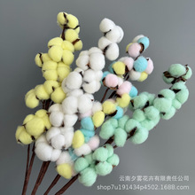 ���^�޻��ɻ��ֹ�diy�����}�Q�����Ҿ��b��Ĕz������ϏS�����l