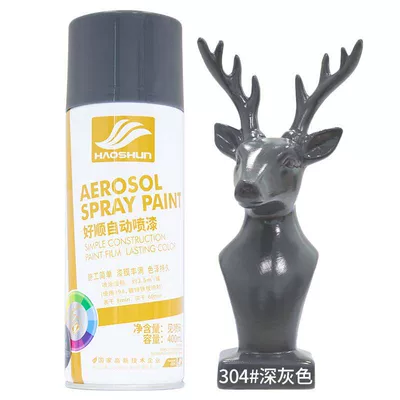 Haoshun Red Self-Aerosol Paint Touch-Up Pen: Avtomobil boyası - 304-dark-gray-450mlbottle