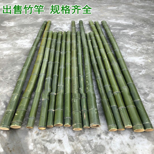Small bamboo pole thin bamboo stick 1 meter 2 meters vegetable garden bamboo pole rack bean cucumber rack bamboo pole rack vegetable bamboo pole