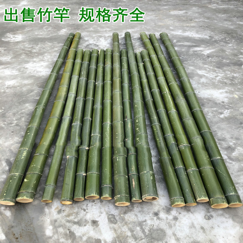 小竹竿细竹子棍1米2米菜园竹杆子搭架豆角黄瓜架竹杆架种菜竹竿子
