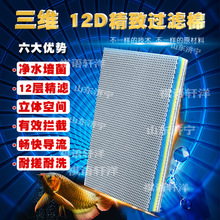 12D�^�V���~�׸��ܶȺ��d�Ӻ�����^�V��������ϴ������ˮ�o�z��