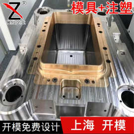 上海注塑模具开模加工定制 开 塑料制品S136