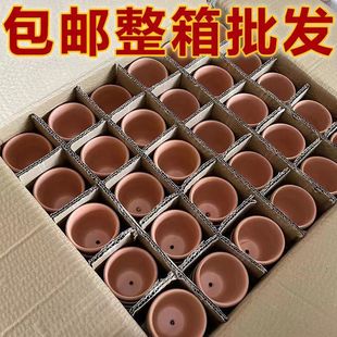 ���H�t�ջ����������l�S��ֱ�N���껨�ܺ��s����������ˮ͸������