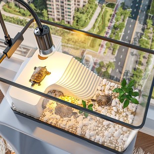 Kuoting Tortoise Climbing Table 2024 New Filter Climbing Table Household Brazilian Tortoise Grass Tortoise Hermit Crab Climbing Pet Special