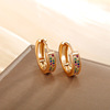 Jewelry, earrings, zirconium, suitable for import, European style