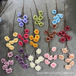 ����õ�廨��c�ٻ���c���滨�����쾰�ٻ����滨����ٻ����컨