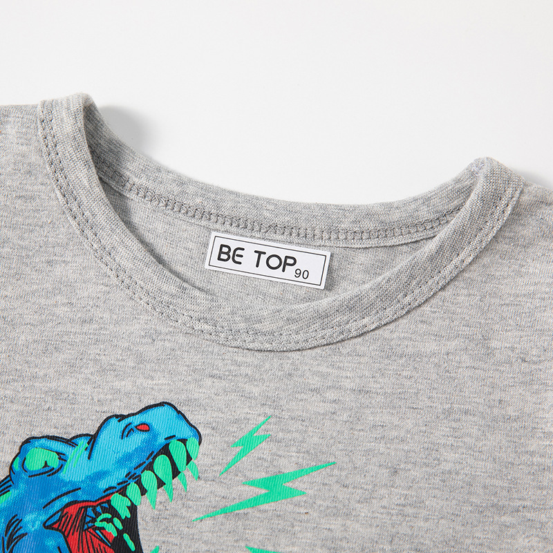 Muestras personalizadas be top ropa infantil de dibujos animados dinosaurios de algodón para niños camiseta de manga larga para niños camiseta de cuello redondo de otoño
