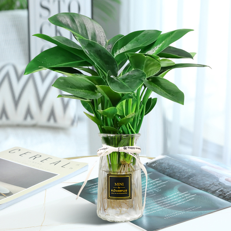 고급 대형 금다이아몬드 3개(투명 종이접기 라벨병) + 크리스탈 머드 + 영양액