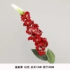 Snapdragon