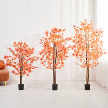 ��������t���� ��ľ�U����ֲ���҃�ͥԺܛ�b�쾰ֲ���b٘�