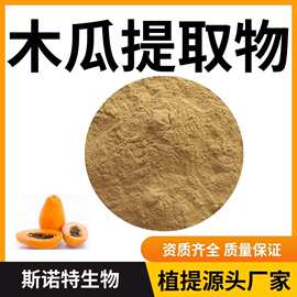 木瓜提取物木瓜粉 水溶性粉末喷雾干燥工艺 斯诺特源头厂家
