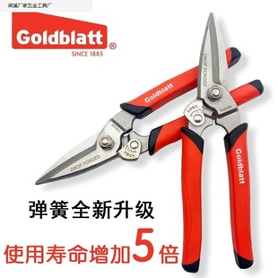 �����M��Goldblatt����FƤ����������ǵ�픿۰庽�ռ�S����