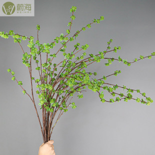 ����ֲ���֦���~���m����c�ҾӔzӰ�b����ٹ�֦���m����������