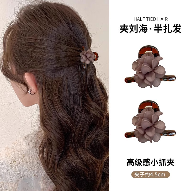 Perla ámbar pequeña clip de agarre para mujeres 2024 nuevo clip de cabello princesa cabeza bang clip de cabello roto clip de tiburón joyería para el cabello