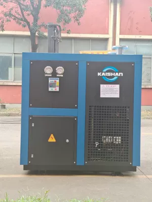 dry air dryer | Hava kompressorları - ksad-20sf-a