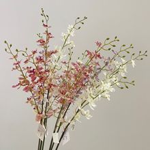 �����f���m�����m���m��֦�͏d�ҕ���[�����ٻ��Gֲ�Ӱ巿�b�