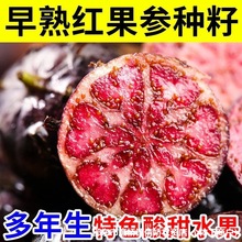 ��ϼt�����N������������N����Y��֩�����ɫ����ˮ���·N��