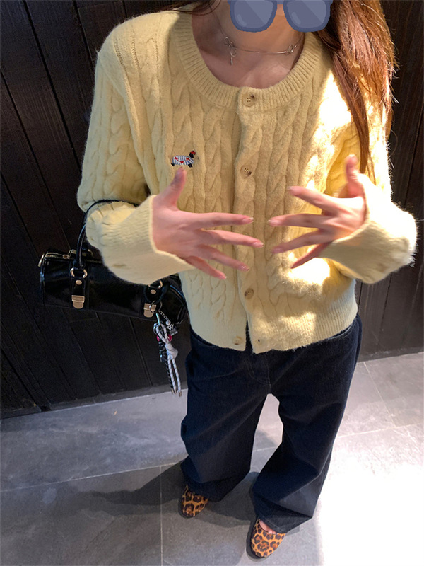 【现货】im向 乖乖女穿搭 腊肠狗刺绣羊毛麻花毛衣外套女针织上衣|undefined