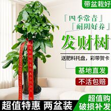 �����߰lؔ���҃ȾGֲ���Һ��B�����՚����״��͏d����Gֲ�k����