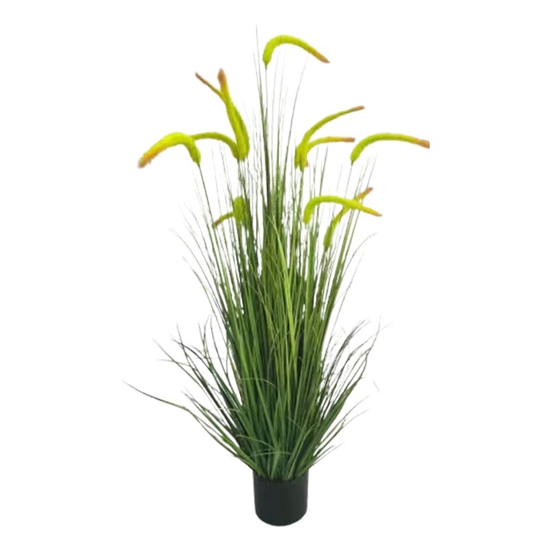 Flor seca cattail hierba flor artificial verde planta maceta boda decoración del hogar Decoración Dogtail hierba flor artificial Reed