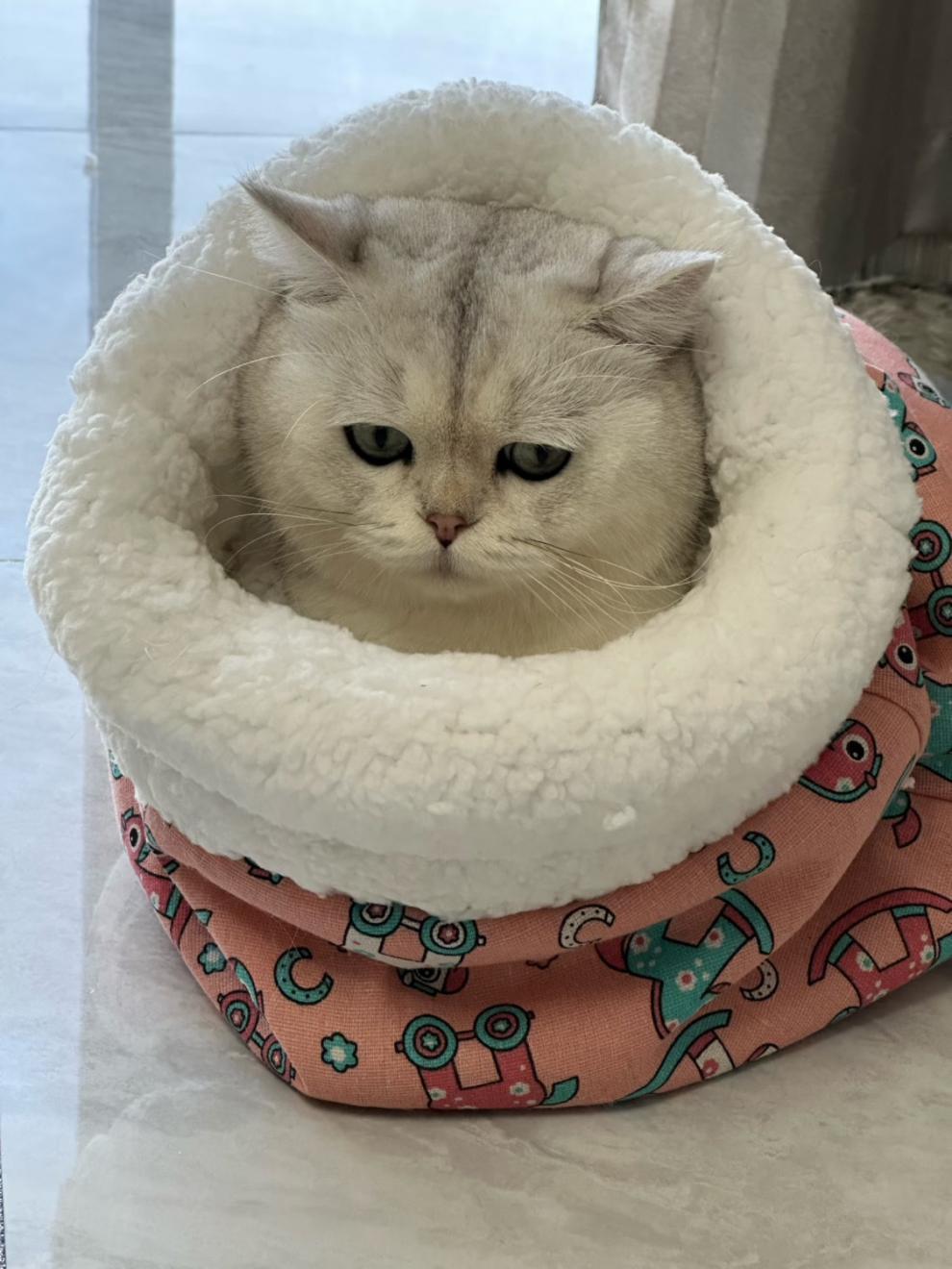 c64b503a-7831-432b-867a-78f87c294b3b.jpe