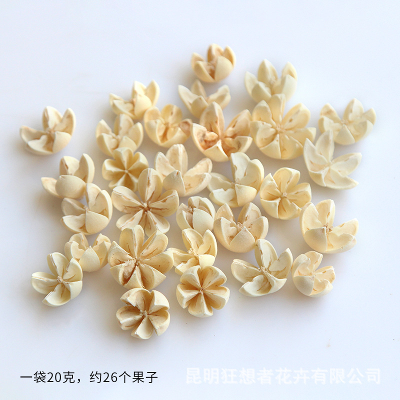Hạt dẻ cười trắng [một túi 20 gam, khoảng 26 chiếc]