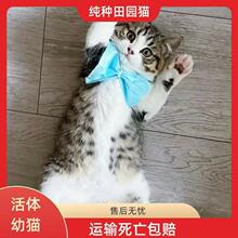 ���A��@؈���w��؈����؈����؈���ڼ��B��؈��ţ؈����؈ץ��؈