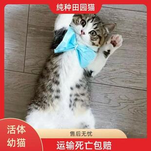 ���A��@؈���w��؈����؈����؈���ڼ��B��؈��ţ؈����؈ץ��؈