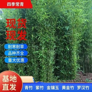 �������ļ������ͺ����BͥԺ�ļ����������S�����_�h��G�����^