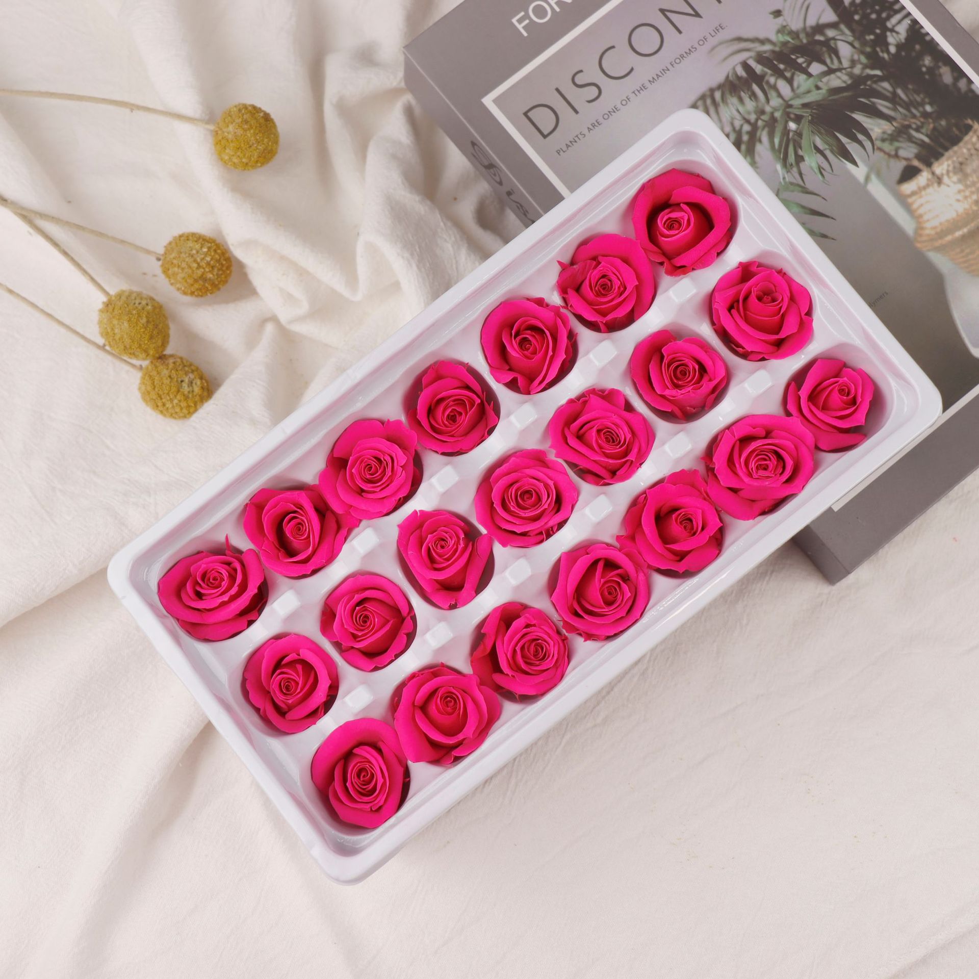 Rododendro rojo grado B 2-3cm/caja de 21 flores