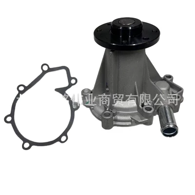 Actyon Kyron, Water pump