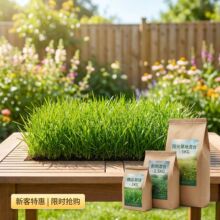 ���ѲݷN��ƺͥԺ߅�¾G���������o�¹����ͺ��ͺ��Nֲ���ѲݷN��