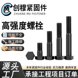 高强度螺栓8.8级氧化发黑加长全牙半牙碳钢高强度螺杆高强 度螺丝