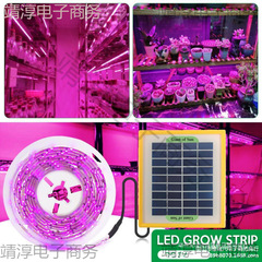 メーカー直売室内植物成長灯太陽光多肉補光灯LED全スペクトルは太陽光野菜に似せています。