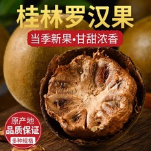 精选罗汉果大果桂林永福罗汉果干果散装多个装罗汉果茶泡水喝甘甜