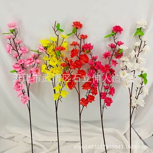 �S�ҹ��������һ� ÷��֦ 3���һ������b� �ٻ��Gֲ�F؛���l