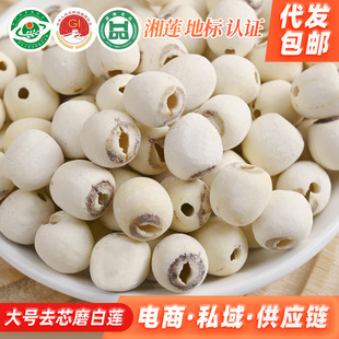 ������̶��̖ȥо��ɏ��ĥƤȥͨо��ɏ�Ӹ�500g��ɏ��ɏ���l���]