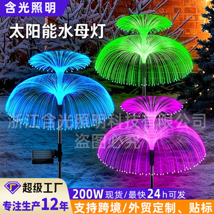 ̫���ˮĸ��������w������ͥԺ��ƺ�ز�������b��՟����^��