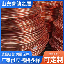 现货供应镀铜圆钢接地线 铜接地棒 钢绞线收购