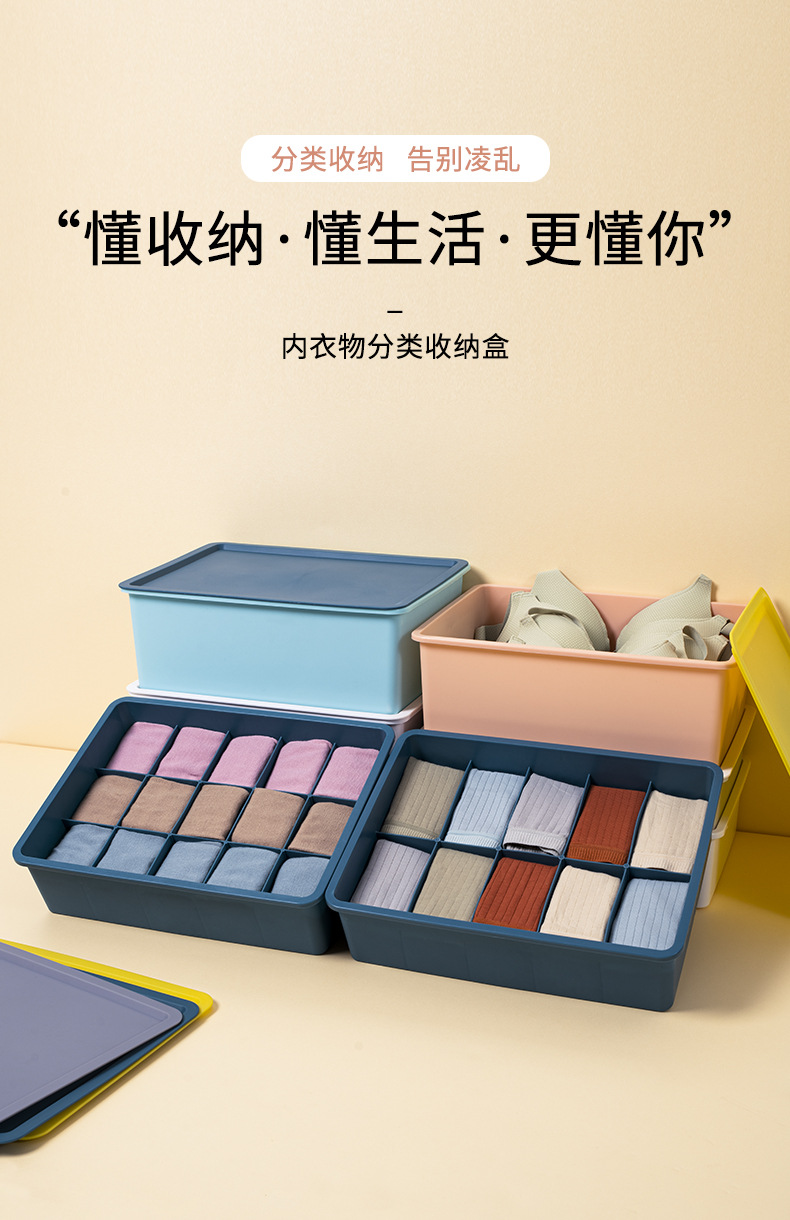 详情页_01.jpg