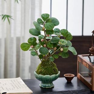 С����������ˮ��ֲ��̦�\���҃ȾGֲ�k��������U���辰��������