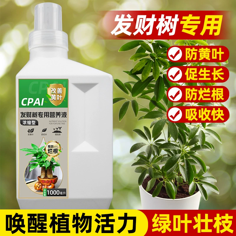 Специальный концентрированный питательный раствор, чтобы разбогатеть