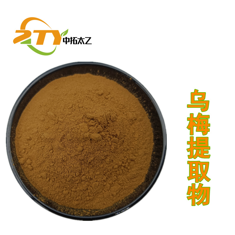 厂家供应 乌梅提取物 20:1 乌梅粉  1Kg/袋  酸梅 水溶  喷雾干燥